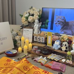 宠物家长客户见证