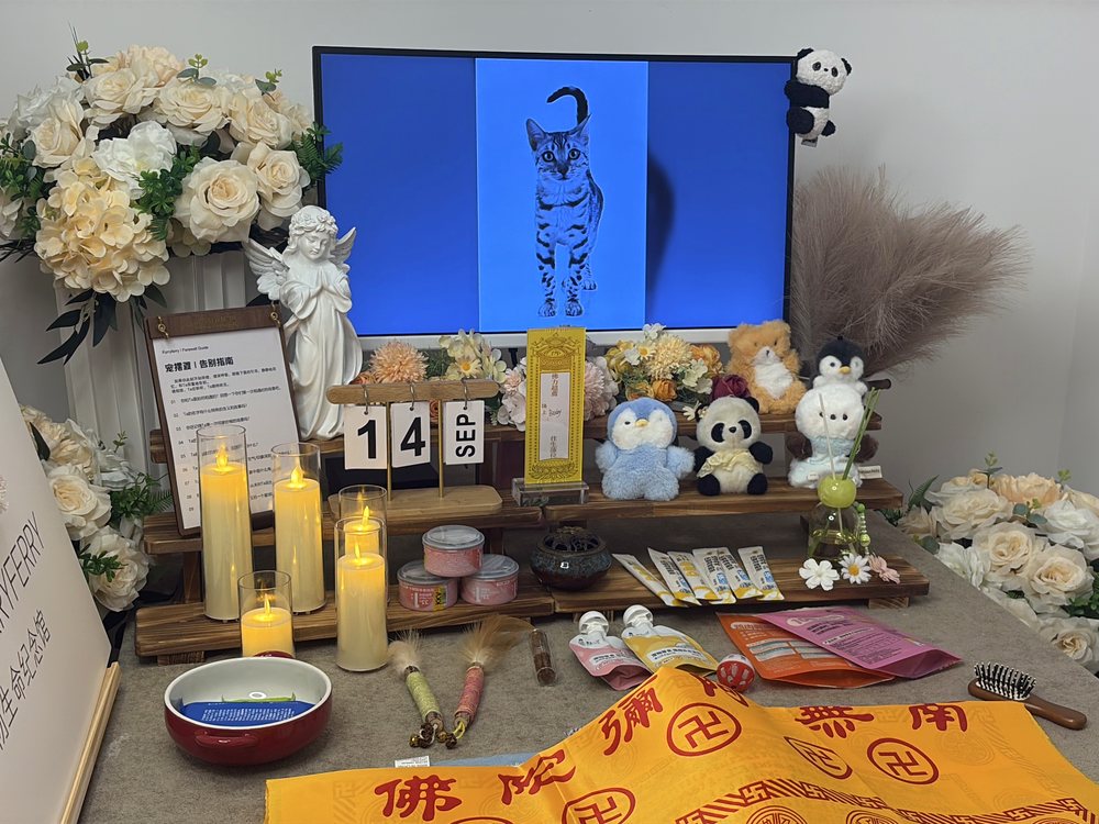 宠物告别仪式现场布置
